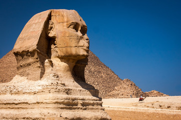 The iconic Sphinx carving adjacent to the Great Pyramids at Giza, Egypt