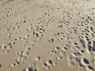 Fototapeta na wymiar Walking through the Sand