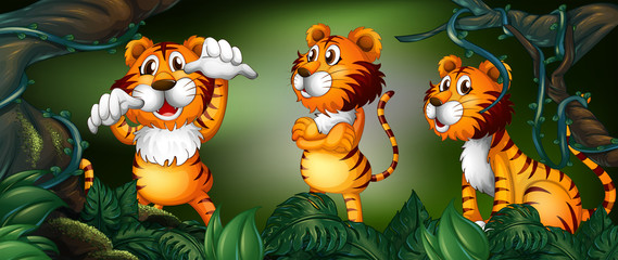 Obraz na płótnie Canvas Three tigers in the rainforest