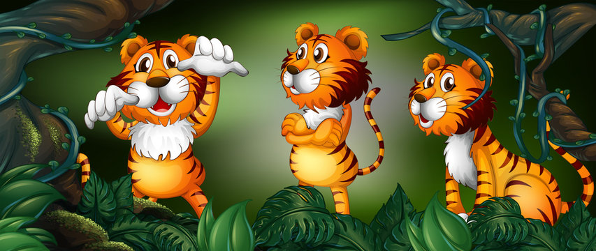Three tigers in the rainforest
