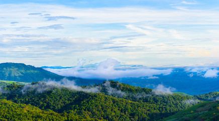 Obraz na płótnie Canvas mountain and mist in Phu Thap Boek, Phetchabun Province