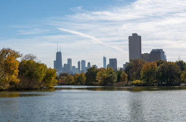 Chicago Pond Skyline
