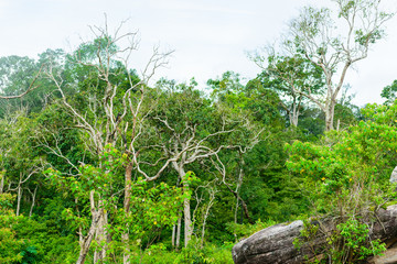 Phu Hin Rong Kla National Park, Phitsanulok Province