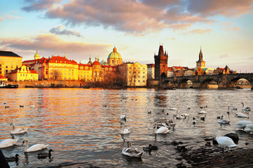 Fototapeta premium Prague beautiful old czech town