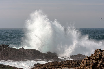 Wave crashing on rocky shore