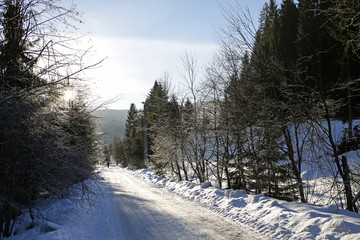 winter mountain landscape with road