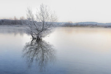 Winter landscape at lake with tree