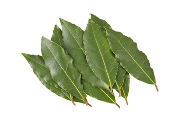 Bay leaves