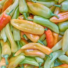 sweet horn peppers closeup, colorful background