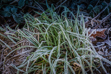 Impressionen in winterlicher Natur