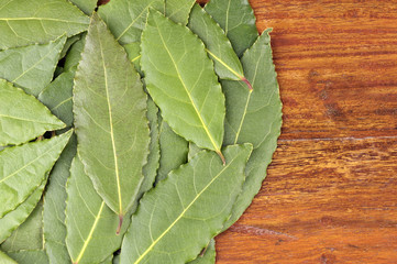 Bay leaves