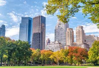 Manhattan buildings in foliage season from Central Park - New Yo © jovannig