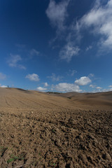 Val D'Orcia, Montalcino, Tuscany