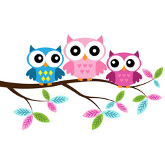 Owl mom nad two owl babies  sitting on the branch on a white background