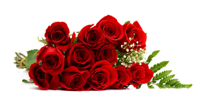 Fototapeta red rose bouquet isolated on white background