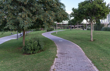 Bike lane between trees in Jardin del Turia in Valencia Spain. Tile cycleway on the grass, bikeway for cyclists only