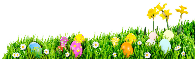 Nests of decorated Easter eggs, nestled in grass and daisies with daffodils