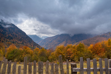Obraz premium Gruzja piekną jesienią. A beautifull autumn in Georgia.