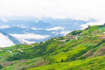 Fototapeta premium Mountain road at ( phu tubberk) in Phu Hin Rong Kla National Par