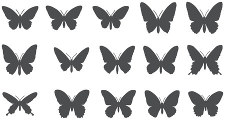Set of silhouettes of butterflies.