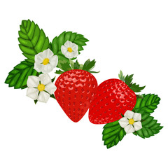 Strawberry on White Background. Ripe and Juicy