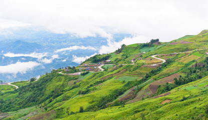 Fototapeta premium Mountain road at ( phu tubberk) in Phu Hin Rong Kla National Par