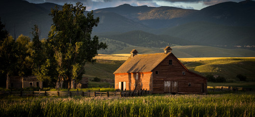 Montana Homestead