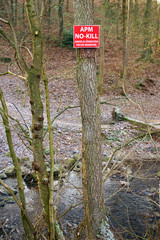 Schild "Angeln Verboten" an Baum an einem Bach in mehreren Sprachen