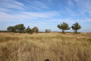 Ostsee Fischland Dar&szlig; Zingst