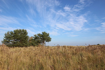 Ostsee Fischland Darß Zingst