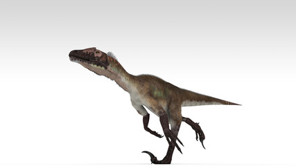 3d illustration of the utahraptor isolated on white