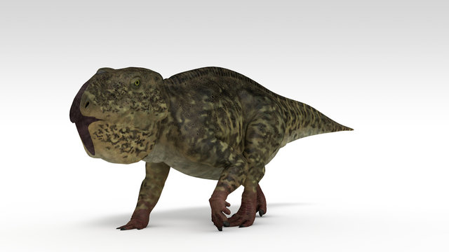 3d illustration of the  udanoceratops