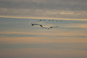 Ostsee Fischland Darß Zingst
