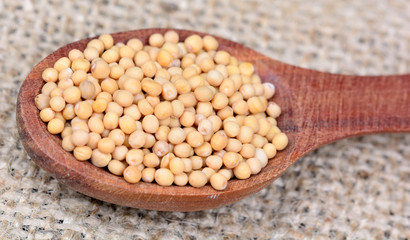 Wooden spoon with mustard seeds