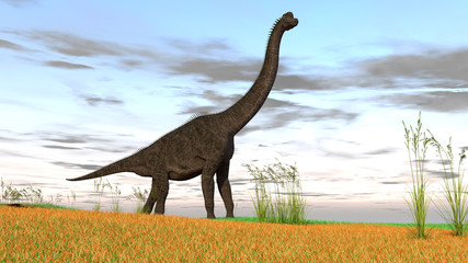 3d illustration of the gigant brachiosaurus