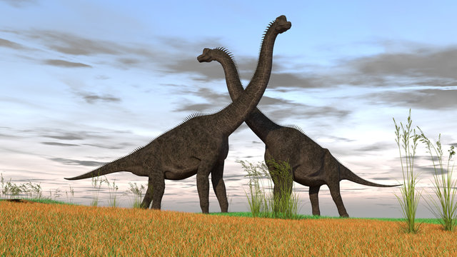 3d illustration of the gigant brachiosaurus