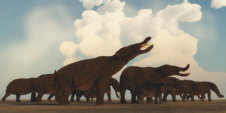 Platybelodon Herd - A Platybelodon herd gather on the plains of Africa to migrate to a better grazing area in the Miocene Era.