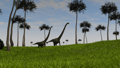 3d illustration of the walking mamenchisaurus