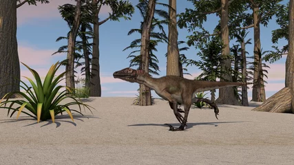 Selbstklebende Fototapeten Dinosaurier 3d illustration of the hunting utahraptor dinosaurus  © Kostyantyn Ivanyshen