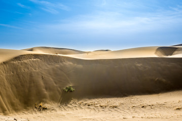 Sand dunes of Maranjab Desert in Iran