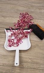 welke Blütenblätter auf Kehrschaufel