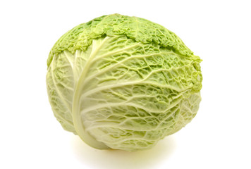 Fototapeta premium savoy cabbage isolated on white background