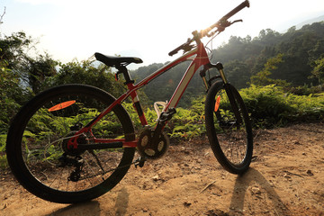 Fototapeta na wymiar riding mountain bike at sunrise forest trail