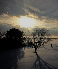 Cloudy sunset in the backyard