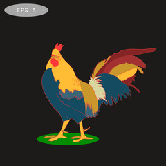 Vector illustration of rooster, symbol  2017 on the Chinese calendar.
