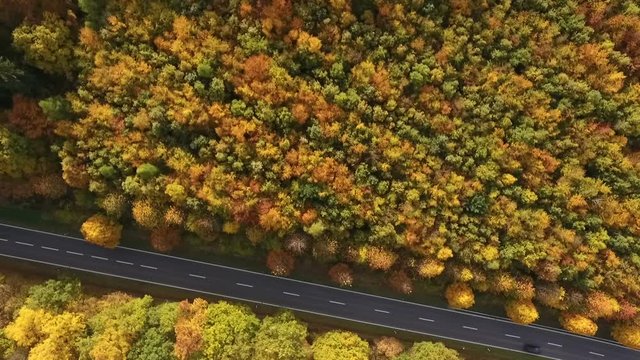 Aerial view of country road and autumnal forest