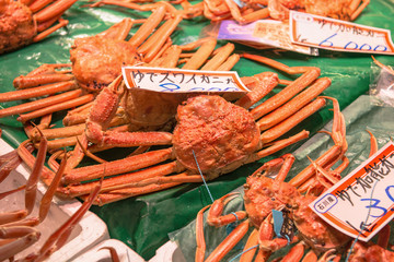 店頭のズワイガニ