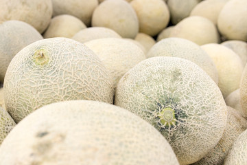 Group of fresh organic cantaloupe melons
