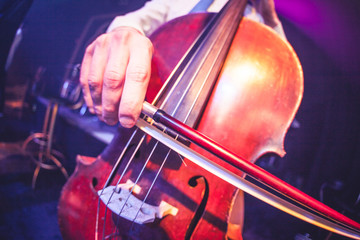 violoncello