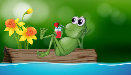 Cute frog drinking juice on the log